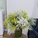 한마음의원 이미지