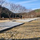 수승대 오토캠핑장 | 수승대 오토캠핑장 선택 전 확인할 정보