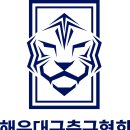 부산시축구협회 및 해운대구축구협회 엠블런 이미지