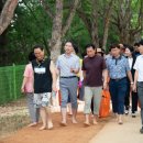 철로변녹지대 이미지