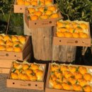 내산농장 이미지