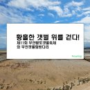 무안생태갯벌사업소 | [전남 무안 대표 관광지] 제11회 무안황토갯벌축제와 갯벌탐방다리