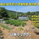 문란영공인중개사사무소 이미지