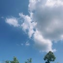 까치애견농장 | 8월 2주