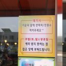 은행나무 갈매기 이미지