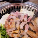 거북이동네 - 북구 만덕대로 117 | 거북이동네
