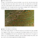 '김영철의 동네한바퀴' 양구 시래기ㆍ곰취찐빵ㆍ동치미 막국수ㆍ가마솥 두부 전골ㆍ파로호 인공습지 이미지