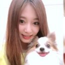 무지개다리 이미지