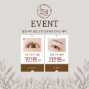 눈썹하는날