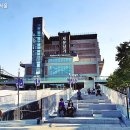 세운 이미지