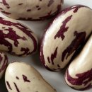 참좋은연세외과 이미지