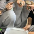 수학쌤김밥 | 6월 이미 누가 낚아채갔네요! 아욱! 아까바! 내가 찜했는데, 한 발 늦었어요! 이런 제기랄!
