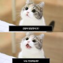 카페제이(율현점) | [웨딩홀] 빌라드지디 수서 계약하고 왔습니다./ 빌라드지디 홀투어