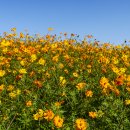 드림파크 이미지