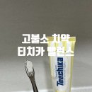 스마일카 | 고불소 구취 제거 치약 입냄새 제거 티치카 밸런스 스마일