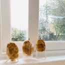 양지1어린이집 이미지