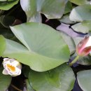 대가야문화누리 이미지