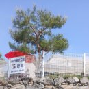 더스테이파주 | 연천펜션 더스테이&도트 애견동반 독채숙소 이용후기