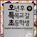 Grammar & Vocabulary 이미지