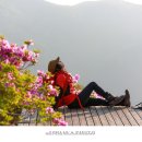 철쭉민박 이미지