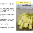 다이어트 윤 이미지