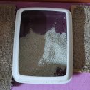 대소동물병원 이미지