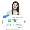 토탈플랜