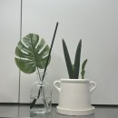 꽃향 | 올리 디퓨저 양재동꽃시장 디퓨저 향 러브미 후기 몬스테라