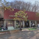 백마강카라반오토캠핑장 | 서울 근교 홍천에 위치한 가성비 글램핑장 코코비발디 카라반 오토캠핑장 후기