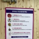 체온테라피 이미지