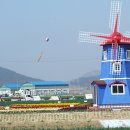 신안센터-8 이미지