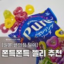 비타민 숲 | 2026 일본 젤리 추천, 동물의 숲 젤리부터 퓨레구미까지 솔직 후기 (내돈내산)