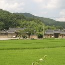 정온 이미지