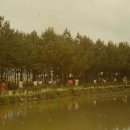 금지초등학교 이미지