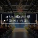 왔다봉이패션 | 양산 지펠리체 웨딩홀 뷔페 식대 가격 홀패키지 견적 공유(계약 완료)