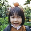 은파농장 이미지