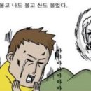 분당-26 네이버블로그