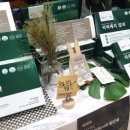 평창청옥산천년초 영농조합법인 네이버블로그