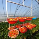 상월한의원 이미지