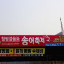 얼음골송어