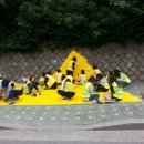 옐로카펫 이미지