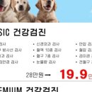 강남다온동물병원 이미지