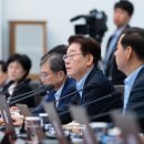 양수다정의원 슬로우 뉴스