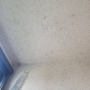 클린케이 이미지