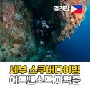 세부 스쿠버다이빙 어드밴스드 자격증 막탄 다이빙샵 업체 추천 퍼플오션다이브