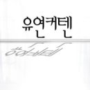 유연커텐