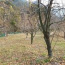 척과농장 이미지