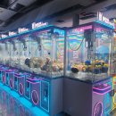 락휴 테마파크 이미지