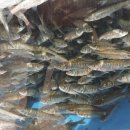 생초남원식당 이미지