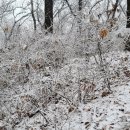 도당산성 이미지